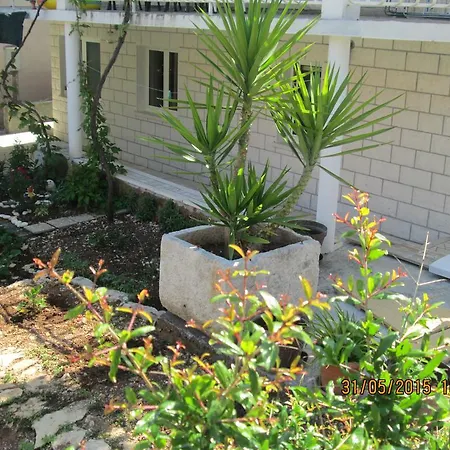 Apartments Paula Korcula Town Room photo