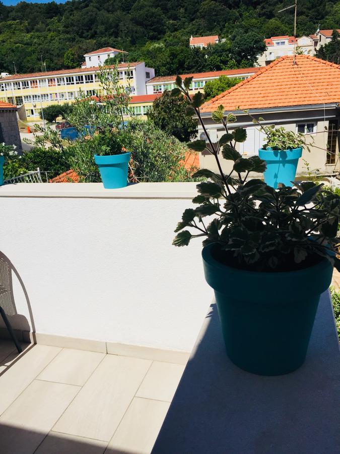 Apartment Paula